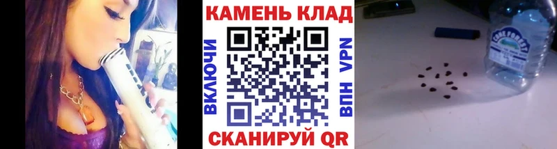 купить закладку Нелидово Гашиш индика сатива