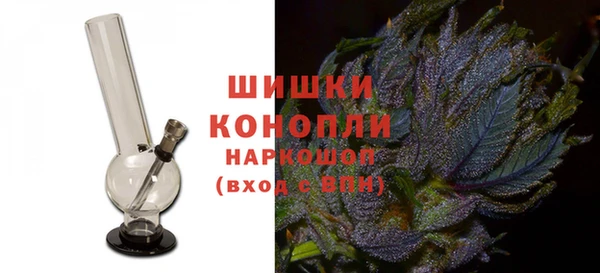 прущие грибы Богородск