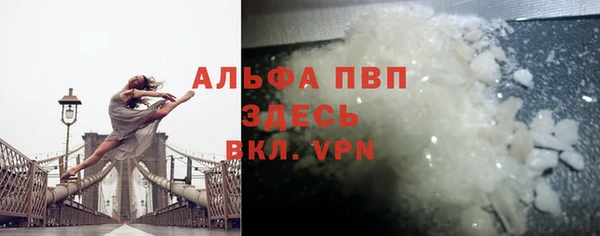 СК Белокуриха