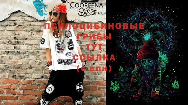 меф Горняк