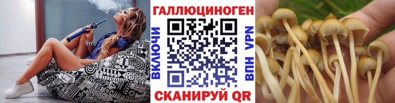 Псилоцибиновые грибы мухоморы  купить закладку  ссылка на мегу рабочий сайт  Нелидово 